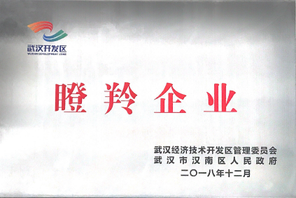 喜报！安立杰荣获2018瞪羚企业称号