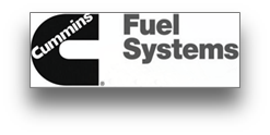 康明斯燃油系统（武汉）有限公司